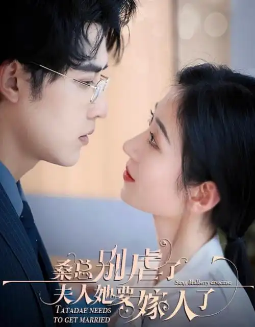 绝命毒师 先锋影音色